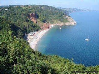 Aveland House Babbacombe Hotel Torquay Bagian luar foto
