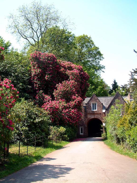 Aveland House Babbacombe Hotel Torquay Bagian luar foto